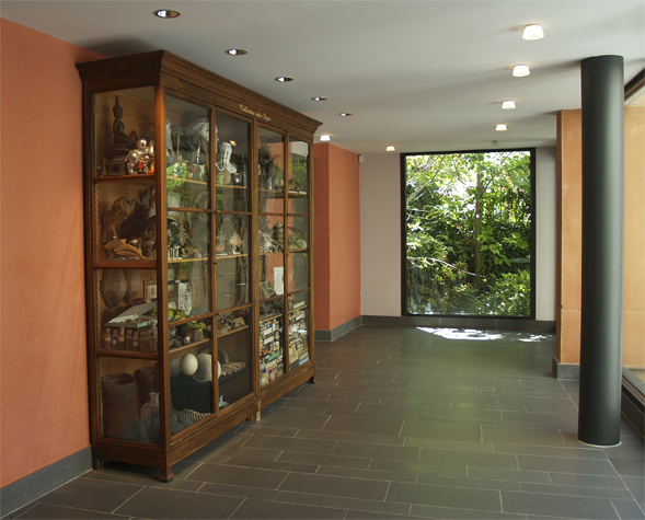 Entrée Musée Gassendi, Mark Dion